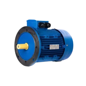 bl036021 dong co dien ba ie1b5 2p0015kw 3 pha transmax