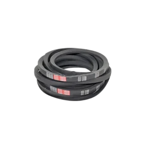 bl036434 day curoa b77 divbelt