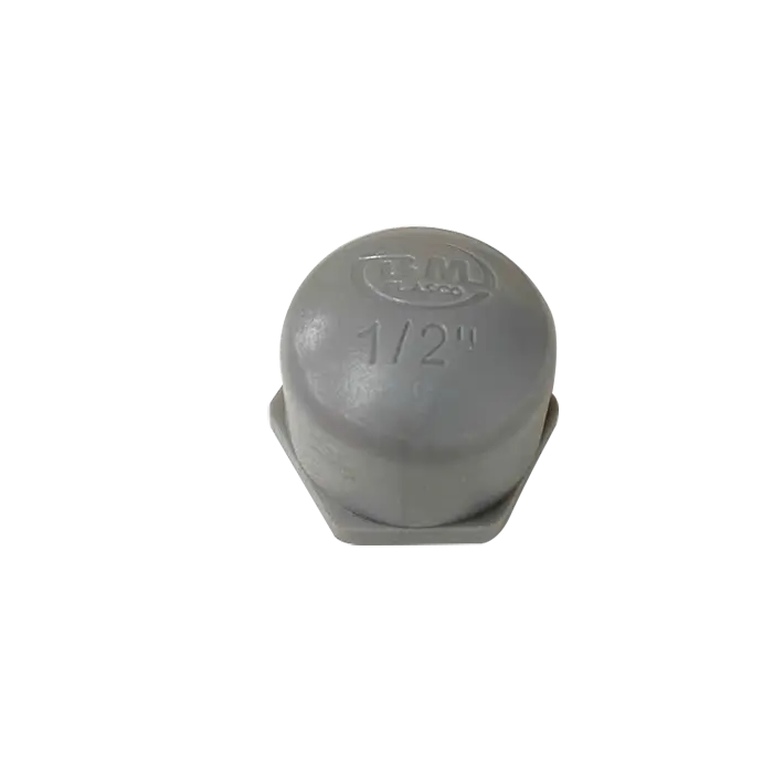 bl037298 nap bit dau ren trong pvc d21 binh minh photo bl037298 nap bit dau ren trong pvc d21 binh minh