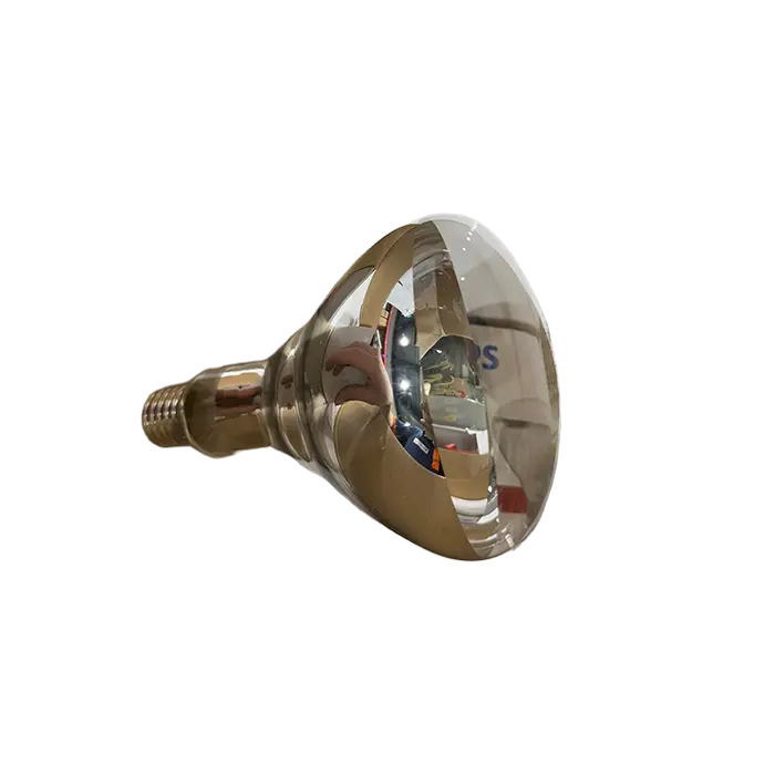 bl040856 den hong ngoai br125 ir 250w e27 clear philips photo bl040856 den hong ngoai br125 ir 250w e27 clear philips