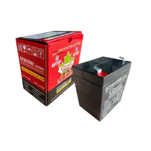 bl040972 ac quy ect ra125va1 12v 5ah ecotek