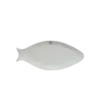 Đĩa cá, KT250x100x20mm - Ảnh 1