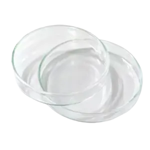 Đĩa petri, 237555107 KT120x20mm, Duran - Ảnh 1