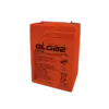 bl016553 ac quy 6v 45ah wp5 6 globe