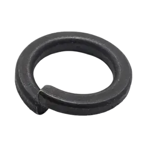 Long đen vênh, DIN127A-M36 - Ảnh 1