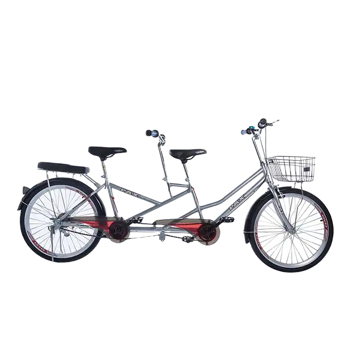 bl019298-xe-dap-doi-mau-bac-pax-3s-pax-bikes bl019298 xe dap doi mau bac pax 3s pax bikes