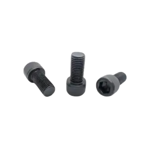 bl024105 bu long luc giac chim cb22 120 din912 m22x100