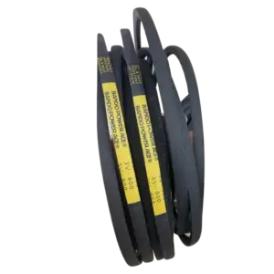bl024313 day curoa 3v900 bando