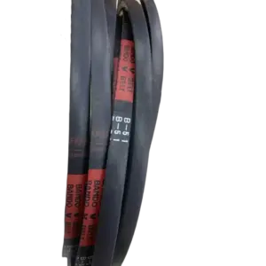 bl024371 day curoa b51 bando