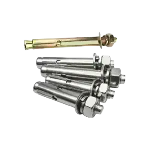 bl024956 bu long no ao m10x80 sus304