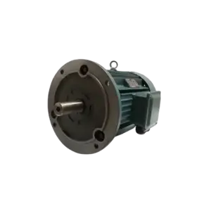 bl025828 mo to mat bich ms 100l1 4 b5 380v 1400vp 3 pha bgm