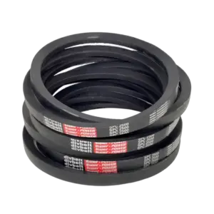 bl026077 day curoa spa1632 y7m divbelt