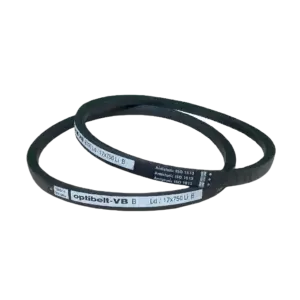 bl026079 day curoa b98 divbelt