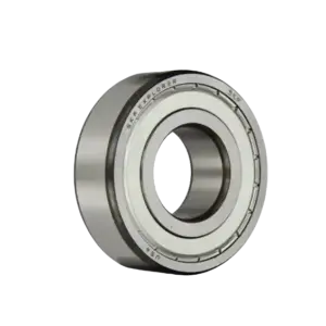 bl026083 vong bi 6004 2zwt chiu nhiet 160 do skf