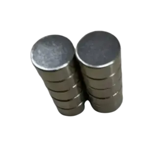 bl028817 nam cham vien d10xt5mm