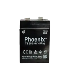 bl029298 ac quy ts650 6v 5ah phoenix