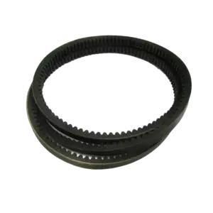 bl031063 day curoa b84 divbelt