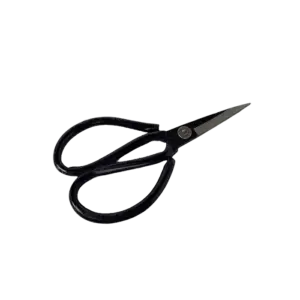 bl034188 keo cat giay mau den kdaden