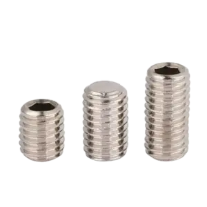Vít trí lục giác đầu bằng, SUS304 DIN916 M2x5 - Ảnh 1