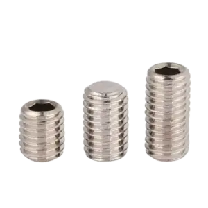 Vít trí lục giác đầu bằng, SUS304 DIN916 M2x8 - Ảnh 1