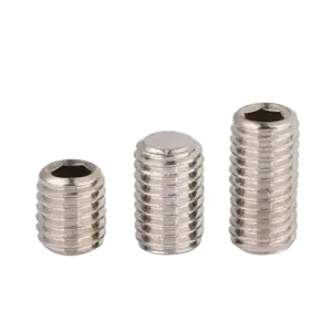 Vít trí lục giác đầu bằng, SUS304 DIN916 M5x3 - Ảnh 1